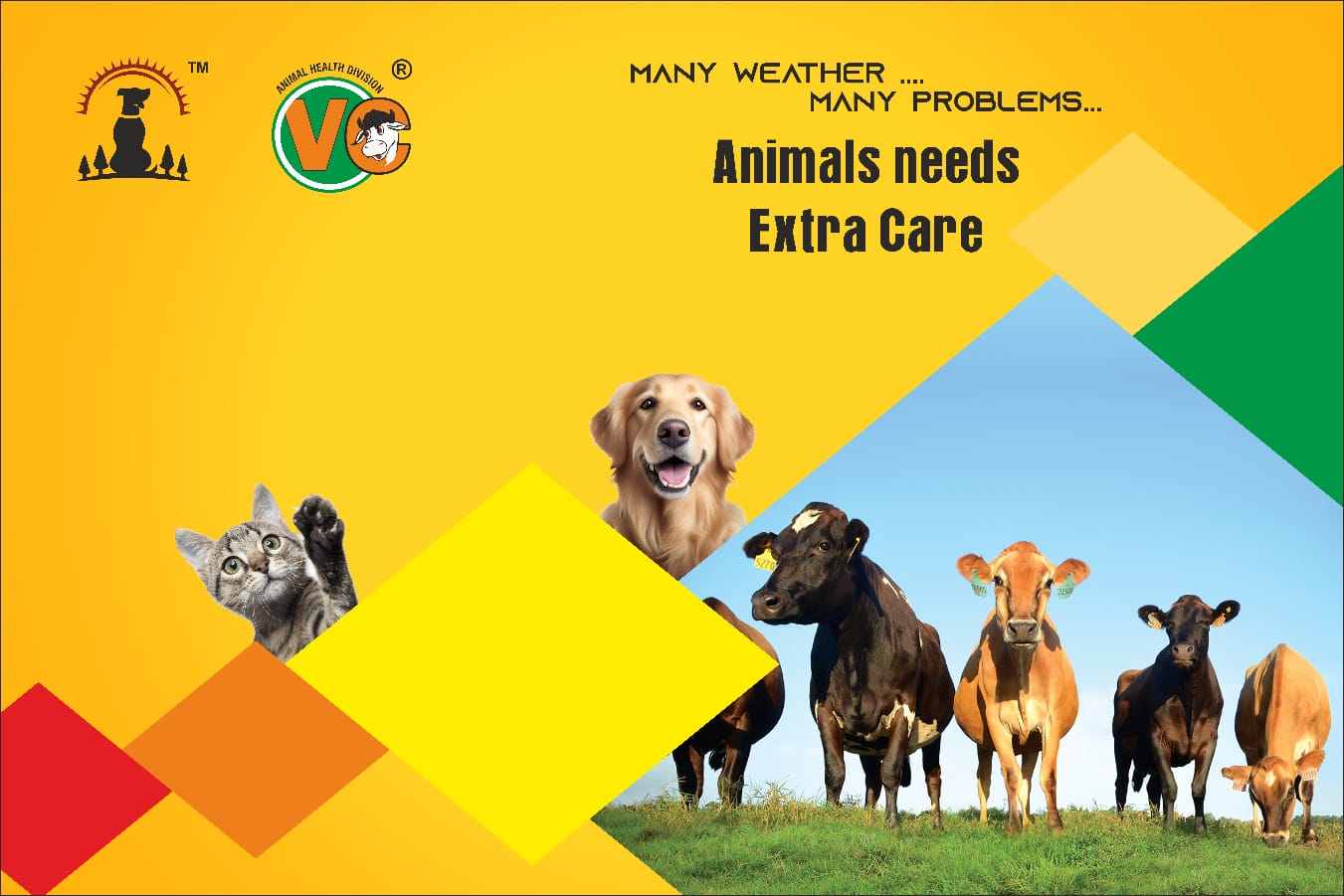 Animal Feed 1